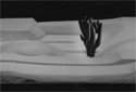  Arbre - Sable, 1994. Erable H15 x L80 x 50cm. (coll. part.)